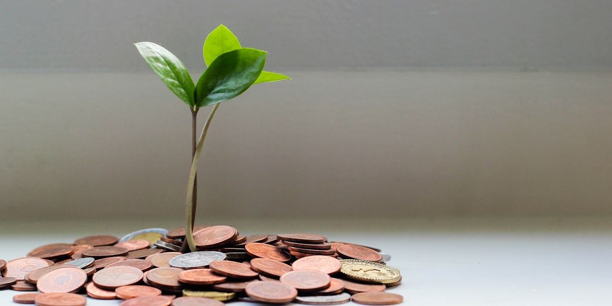 Bridging Loan Costs Explained: Rates, Fees and the True Cost